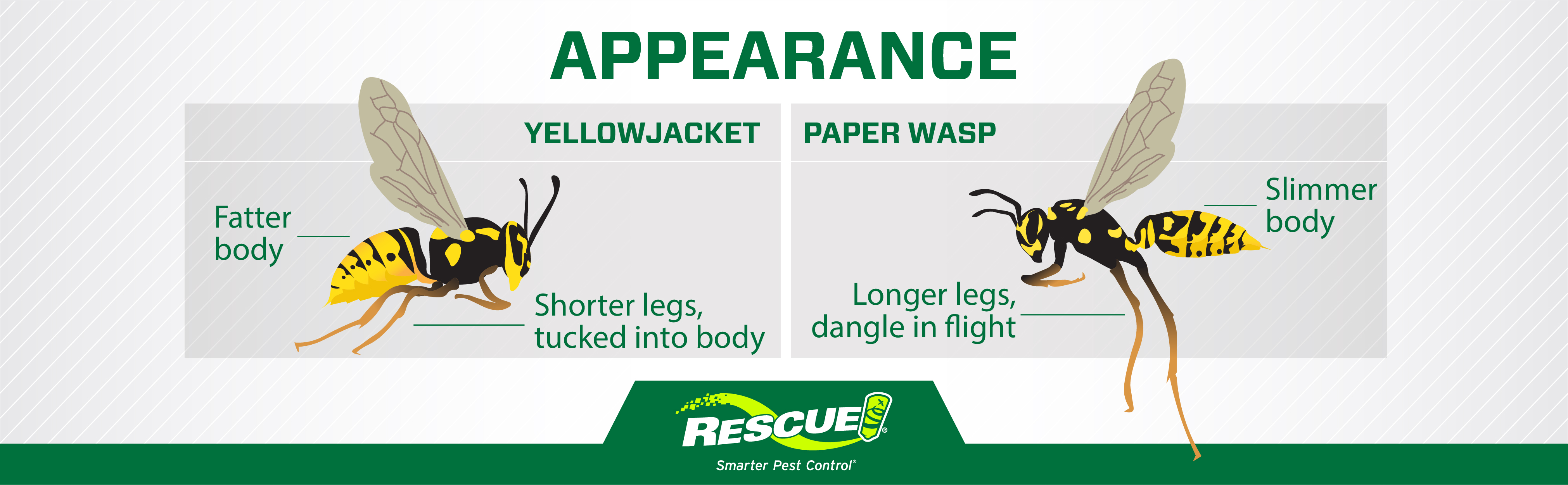 Rescue_Infographic__Flight Pattern.jpg