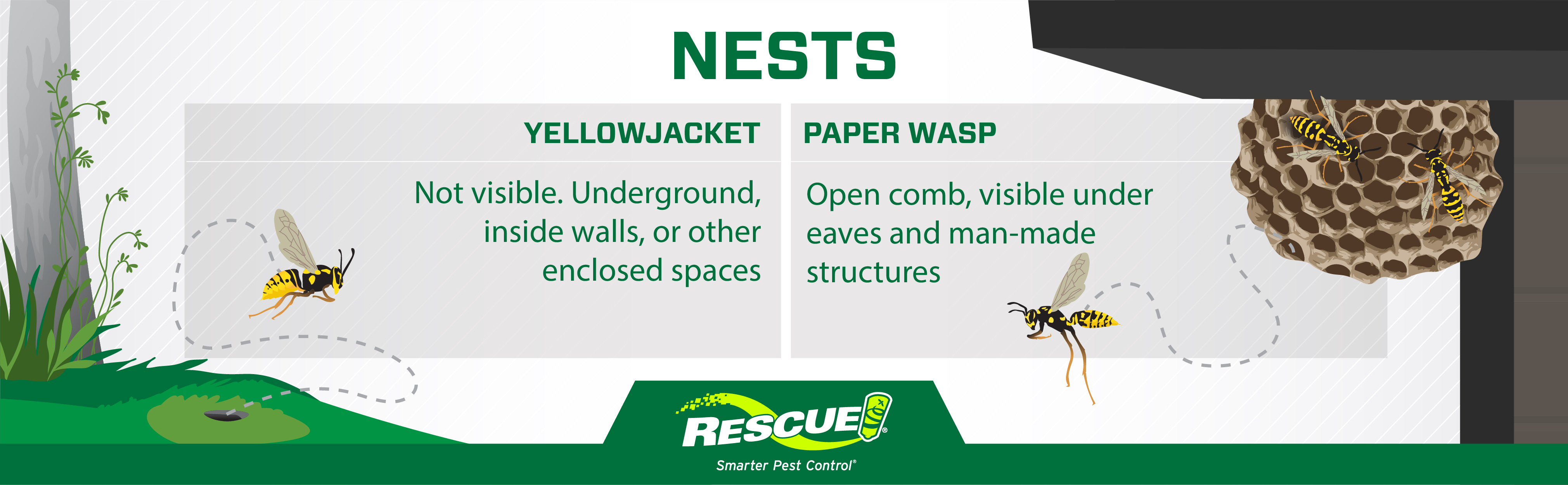 Rescue_Infographic__Nest Locations.jpg