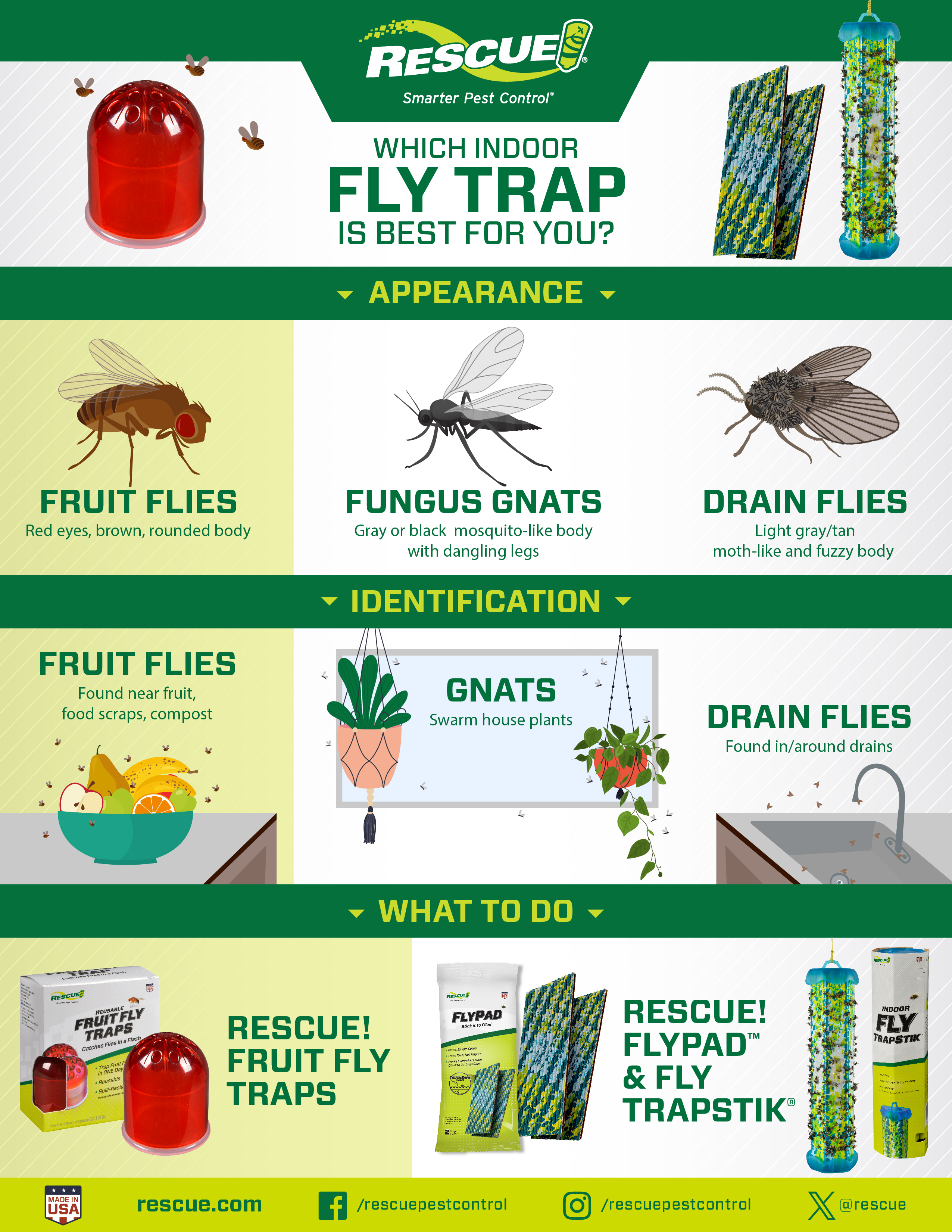 21323 respes-FlyPad Fruit Fly Trapstik one sheet-02-final.jpg