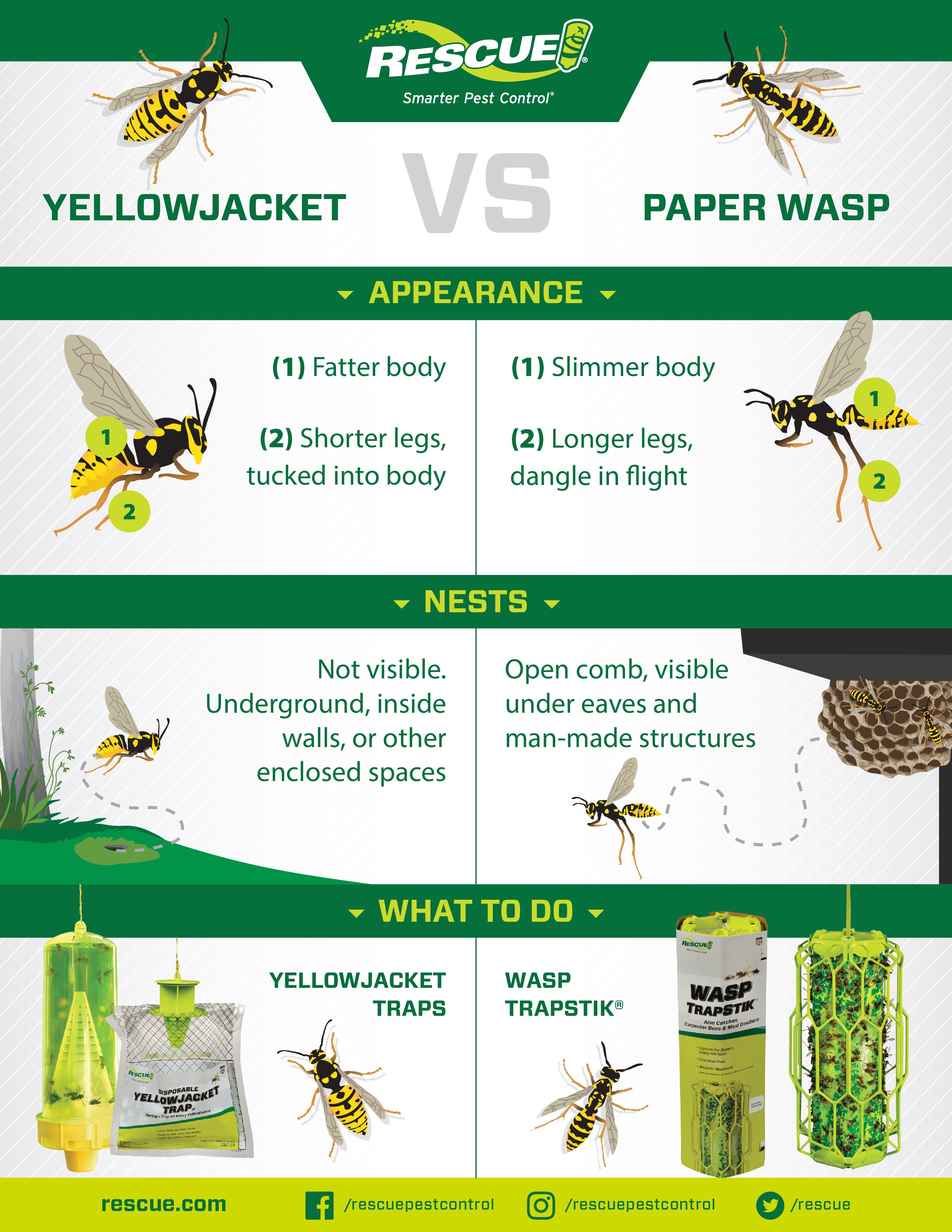 Wasp_YJ_Rescue_Infographic_OneSheet.jpg